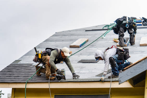 Professional Roofing technician working in Swisshome, OR